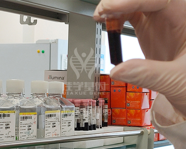 【佳学基因-基因检测】多个基因突变会导致急性髓系白血病 【佳学基因-基因检测】多个基因突变会导致急性髓系白血病