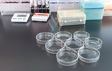 【佳学基因解码-基因检测】老人总是听不懂话?老年性耳聋在作怪 【佳学基因解码-基因检测】老人总是听不懂话?老年性耳聋在作怪