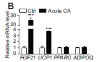 【佳学基因-基因检测】吃货福音!基因解码华人学者最新发现——肉桂有助于燃烧脂肪? 【佳学基因-基因检测】吃货福音!基因解码华人学者最新发现——肉桂有助于燃烧脂肪?