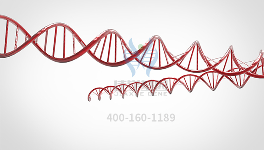 【佳学基因-基因检测】还在为皮肤问题苦恼吗?基因可以重建皮肤啦! 【佳学基因-基因检测】还在为皮肤问题苦恼吗?基因可以重建皮肤啦!