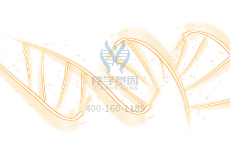 【佳学基因-基因检测】得了白癜风,如何让自己的子女不再遗传? 【佳学基因-基因检测】得了白癜风,如何让自己的子女不再遗传?