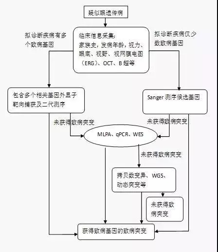 【基因检测标准】眼科遗传病基因诊断方法专家共识 【基因检测标准】眼科遗传病基因诊断方法专家共识
