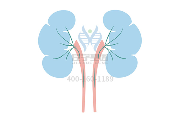 【佳学基因-基因检测】基因解码,发现结节硬化征(TSC)的致病基因 【佳学基因-基因检测】基因解码,发现结节硬化征(TSC)的致病基因