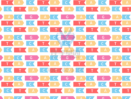 【佳学基因检测】遗传性非息肉型结直肠癌基因解码、基因检测 【佳学基因检测】遗传性非息肉型结直肠癌基因解码、基因检测