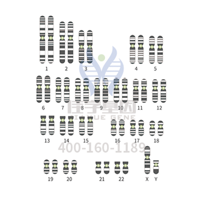 【佳学基因解码-基因检测】世界首例体细胞克隆猴在中国诞生,基因编辑技术如何更好的服务人类? 【佳学基因解码-基因检测】世界首例体细胞克隆猴在中国诞生,基因编辑技术如何更好的服务人类?