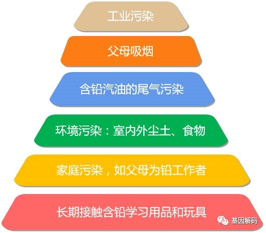 【佳学基因检测】铅中毒基因解码、基因检测 【佳学基因检测】铅中毒基因解码、基因检测