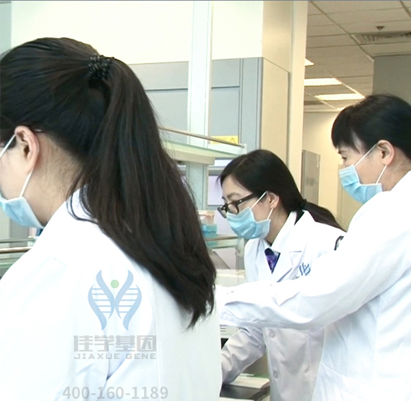 【佳学基因检测】多发性骨髓瘤风险基因解码、基因检测 【佳学基因检测】多发性骨髓瘤风险基因解码、基因检测