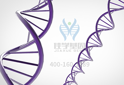 【佳学基因检测