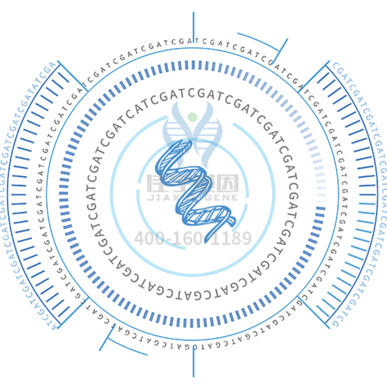 【佳学基因检测】视网膜色素变性有哪些突破性治疗方法呢? 【佳学基因检测】视网膜色素变性有哪些突破性治疗方法呢?