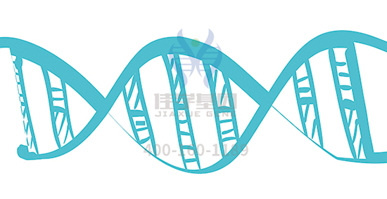 【佳学基因检测】为什么有的人总是睡不醒,有的人睡4个小时就能精力充沛? 【佳学基因检测】为什么有的人总是睡不醒,有的人睡4个小时就能精力充沛?