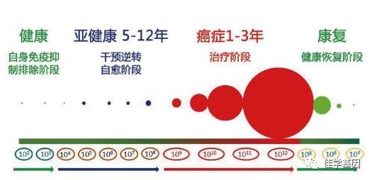 【基因解码项目】佳学基因肿瘤致病基因鉴定