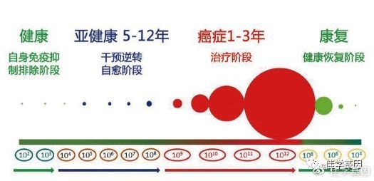 辟谣:胸越大越易得乳腺癌?这几类女人最易患乳腺癌! 辟谣:胸越大越易得乳腺癌?这几类女人最易患乳腺癌!