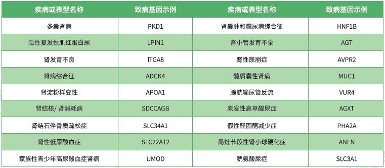 【佳学基因检测】泌尿系统疾病致病基因鉴定基因解码 【佳学基因检测】泌尿系统疾病致病基因鉴定基因解码