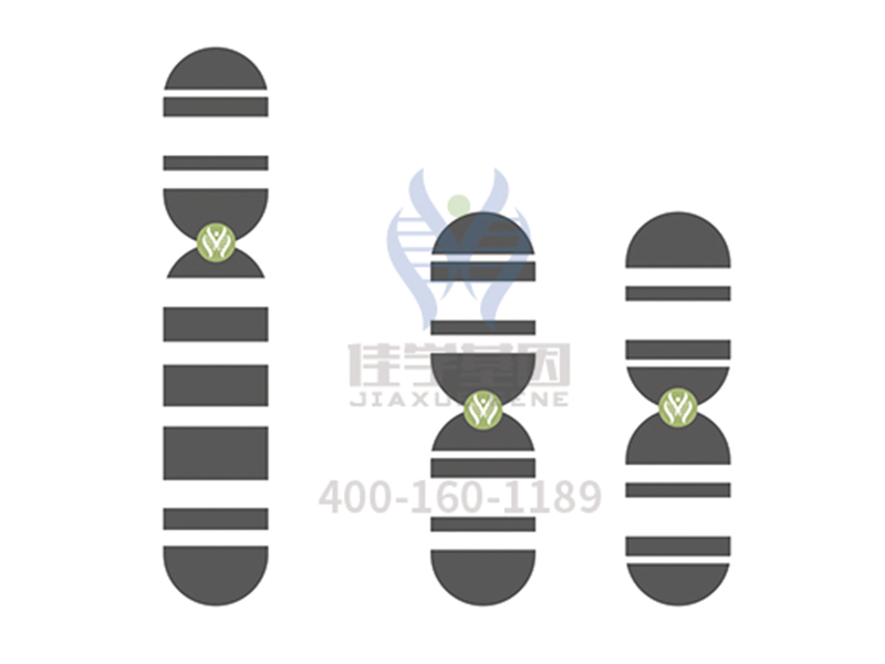 【佳学基因案例】神经纤维瘤基因检测、基因解码 【佳学基因案例】神经纤维瘤基因检测、基因解码