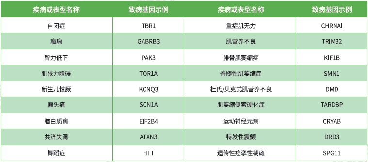 【佳学基因检测】神经肌肉系统疾病致病基因鉴定基因解码 【佳学基因检测】神经肌肉系统疾病致病基因鉴定基因解码