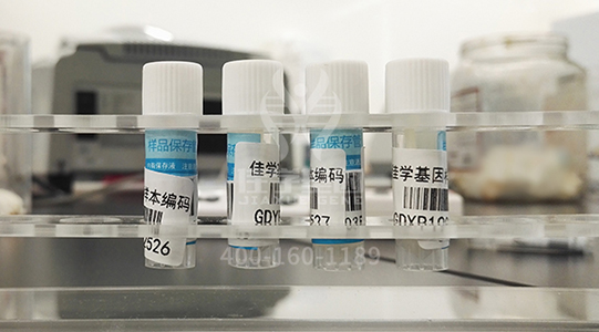 【佳学基因检测】分子病理检测包没有包含EIF2D基因怎么办？