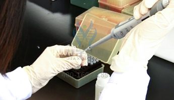 【佳学基因检测】临床医学硕士关于EMP3遗传测试的必备内容