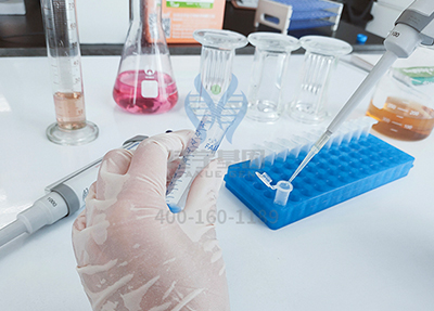 【佳学基因解码-基因检测】马拉松选手突发心梗,你真的适合跑马拉松吗? 【佳学基因解码-基因检测】马拉松选手突发心梗,你真的适合跑马拉松吗?