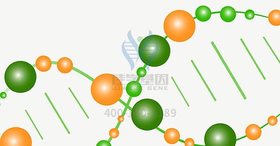 【佳学基因-基因检测】劈腿或是天生的,都是基因的“锅” 【佳学基因-基因检测】劈腿或是天生的,都是基因的“锅”