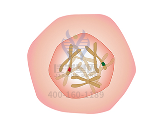 【佳学基因-基因检测】秋天干咳嗓子疼,光喝水可不顶用! 【佳学基因-基因检测】秋天干咳嗓子疼,光喝水可不顶用!