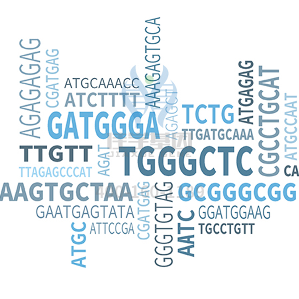 【佳学基因解码-基因检测】你有哪些习惯是由基因决定的? 【佳学基因解码-基因检测】你有哪些习惯是由基因决定的?