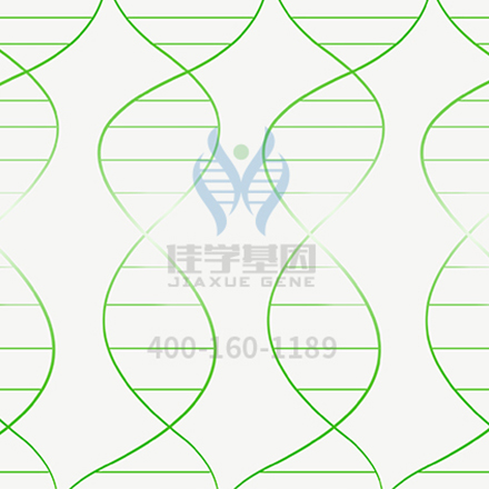 【佳学基因解码-基因检测】你有哪些习惯是由基因决定的? 【佳学基因解码-基因检测】你有哪些习惯是由基因决定的?
