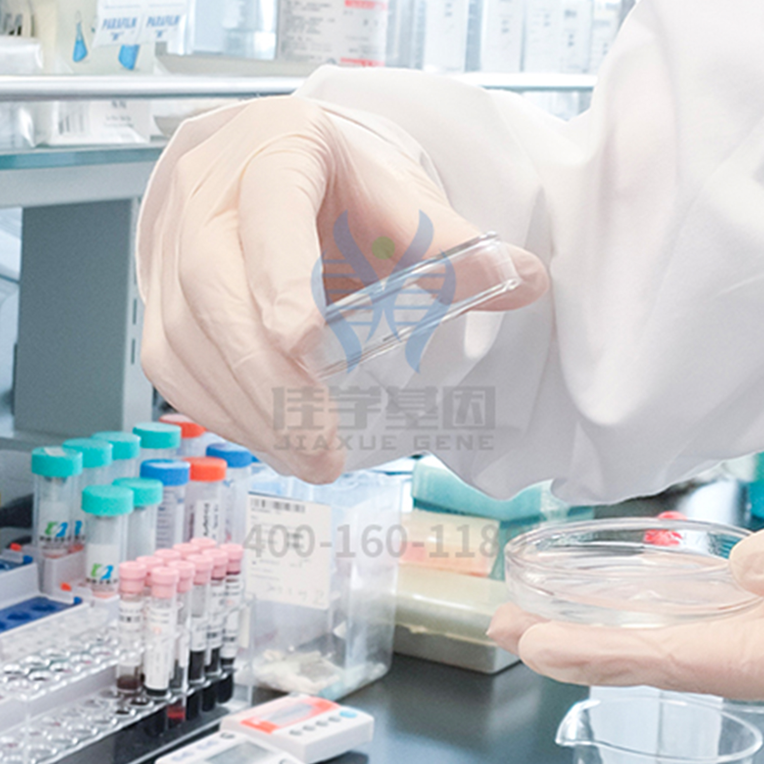 【佳学基因检测】脆性X染色体综合征基因解码、基因检测 【佳学基因检测】脆性X染色体综合征基因解码、基因检测