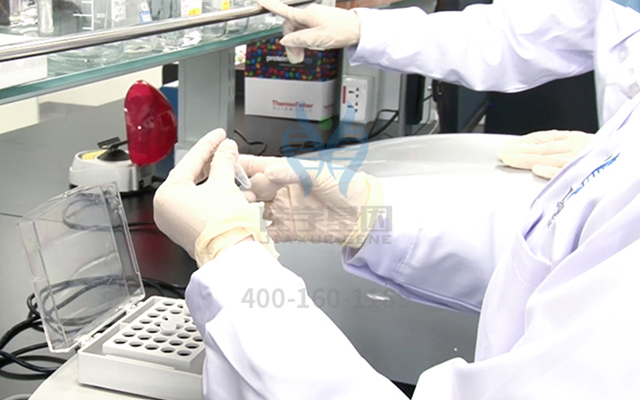 【佳学基因-基因检测】癌症的起源“CANCER”一词来源于“螃蟹”? 【佳学基因-基因检测】癌症的起源“CANCER”一词来源于“螃蟹”?