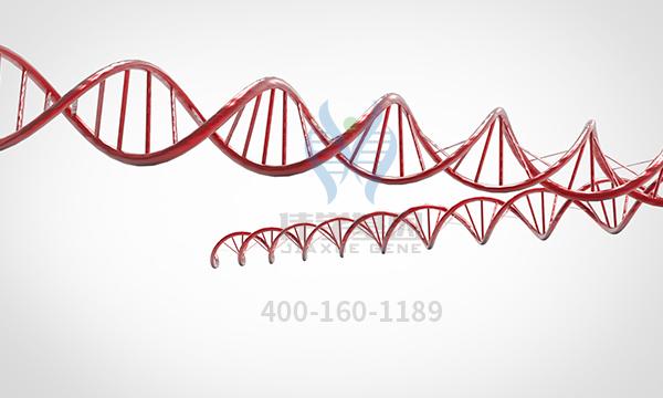 【佳学基因-基因检测】重磅!新方法发现数千个与癌症相关的新基因突变! 【佳学基因-基因检测】重磅!新方法发现数千个与癌症相关的新基因突变!
