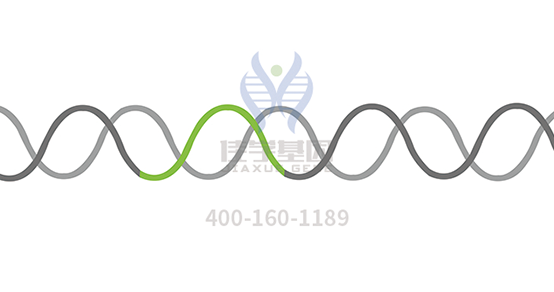 【佳学基因-基因检测】免疫系统在肿瘤方面的研究进展 【佳学基因-基因检测】免疫系统在肿瘤方面的研究进展