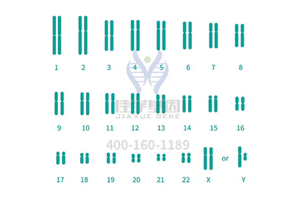 【佳学基因解码-基因检测】带你了解一种导致智力障碍的疾病——佩梅病 【佳学基因解码-基因检测】带你了解一种导致智力障碍的疾病——佩梅病