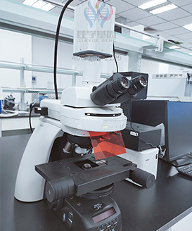 【佳学基因-基因检测】这个家庭15口人均是六指!基因解码找原因 【佳学基因-基因检测】这个家庭15口人均是六指!基因解码找原因