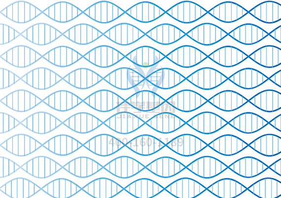 夫妻谁的基因决定了孩子智商和相貌? 夫妻谁的基因决定了孩子智商和相貌?